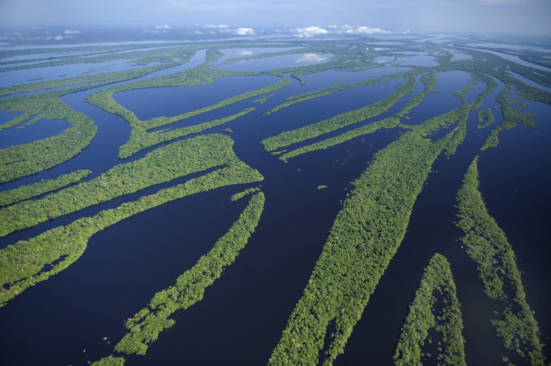 Floresta Amazônica