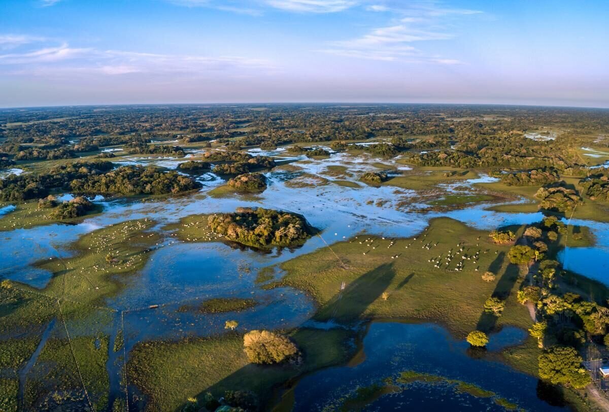 Pantanal — foto 1