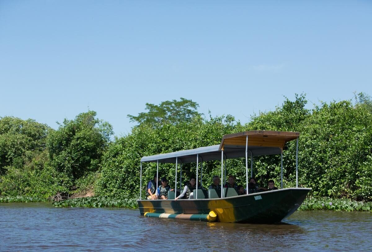 Pantanal — foto 10