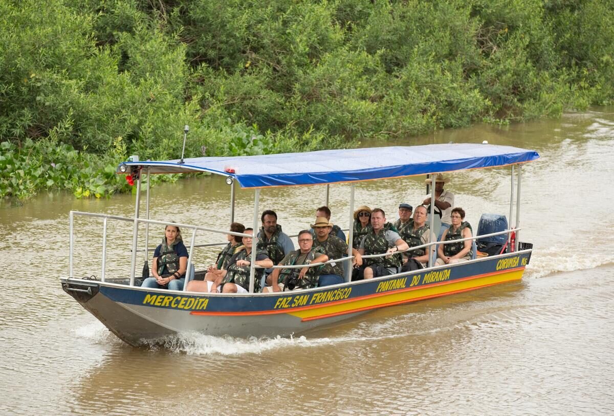 Pantanal — foto 11