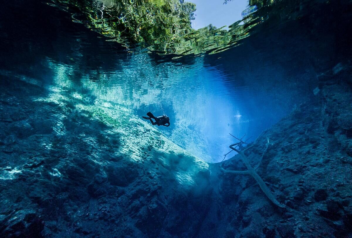 Bonito