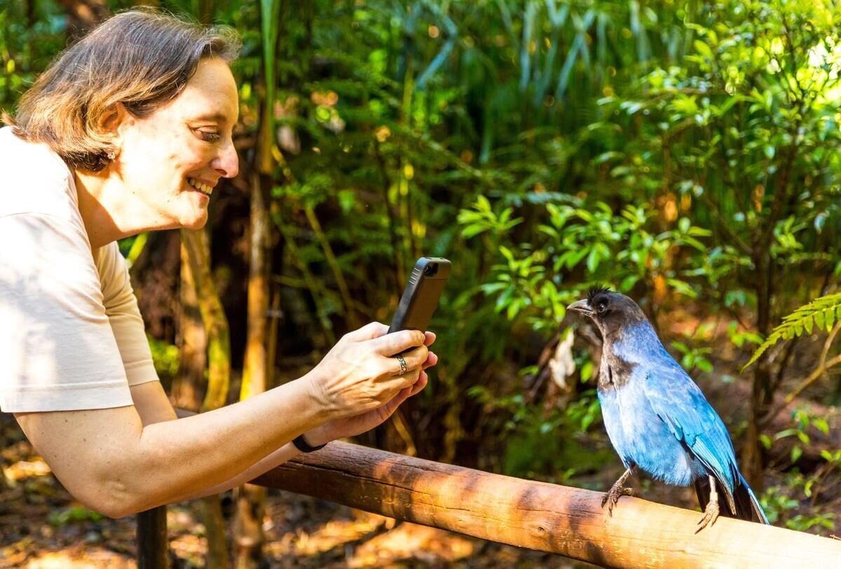 Foz do Iguaçu — curiosidade 2