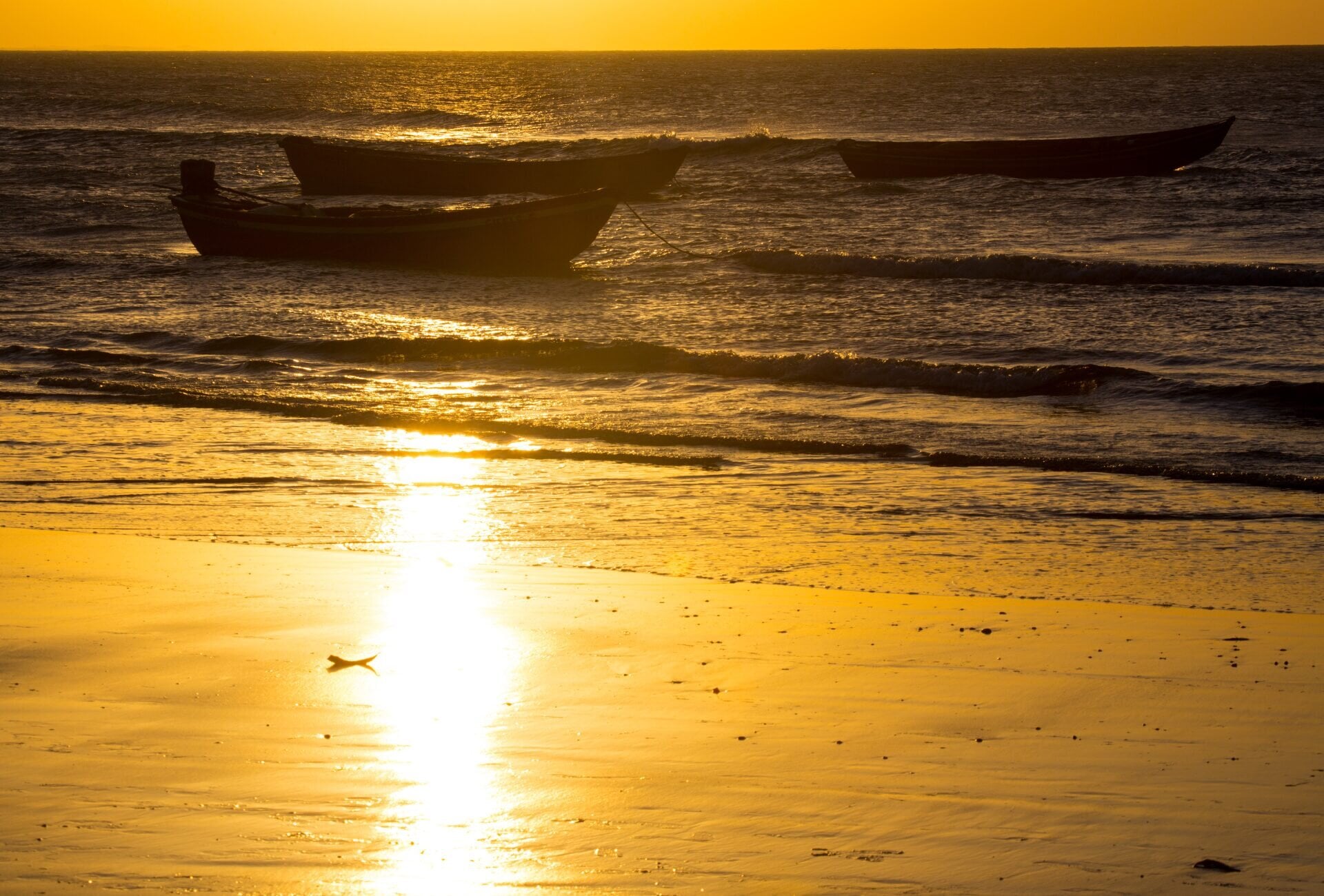 Jericoacoara — foto 18