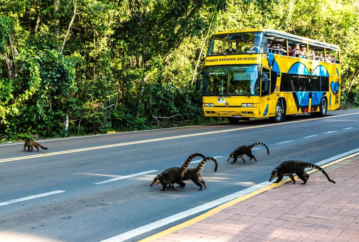 Foz do Iguaçu — foto 19