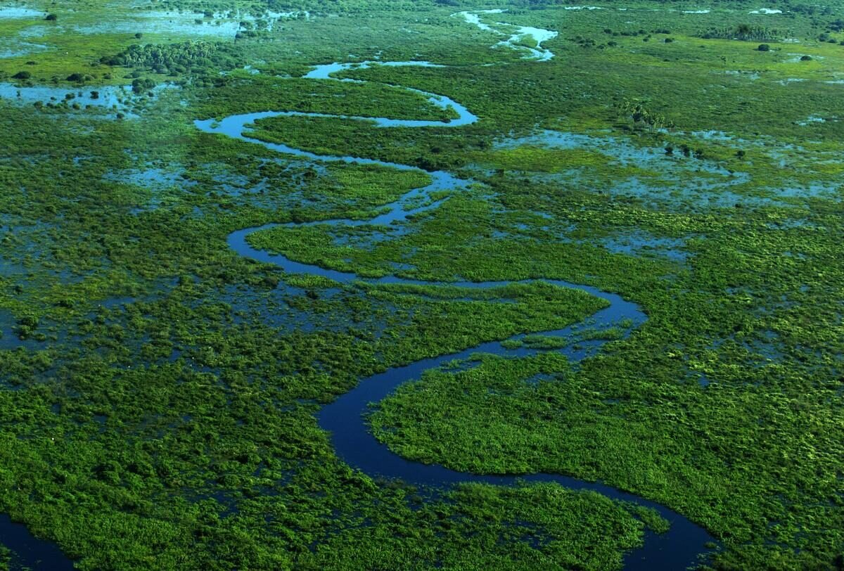 Pantanal — foto 2