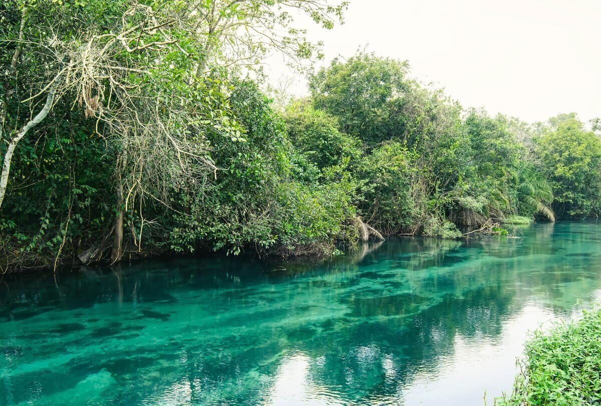 Bonito — foto 2