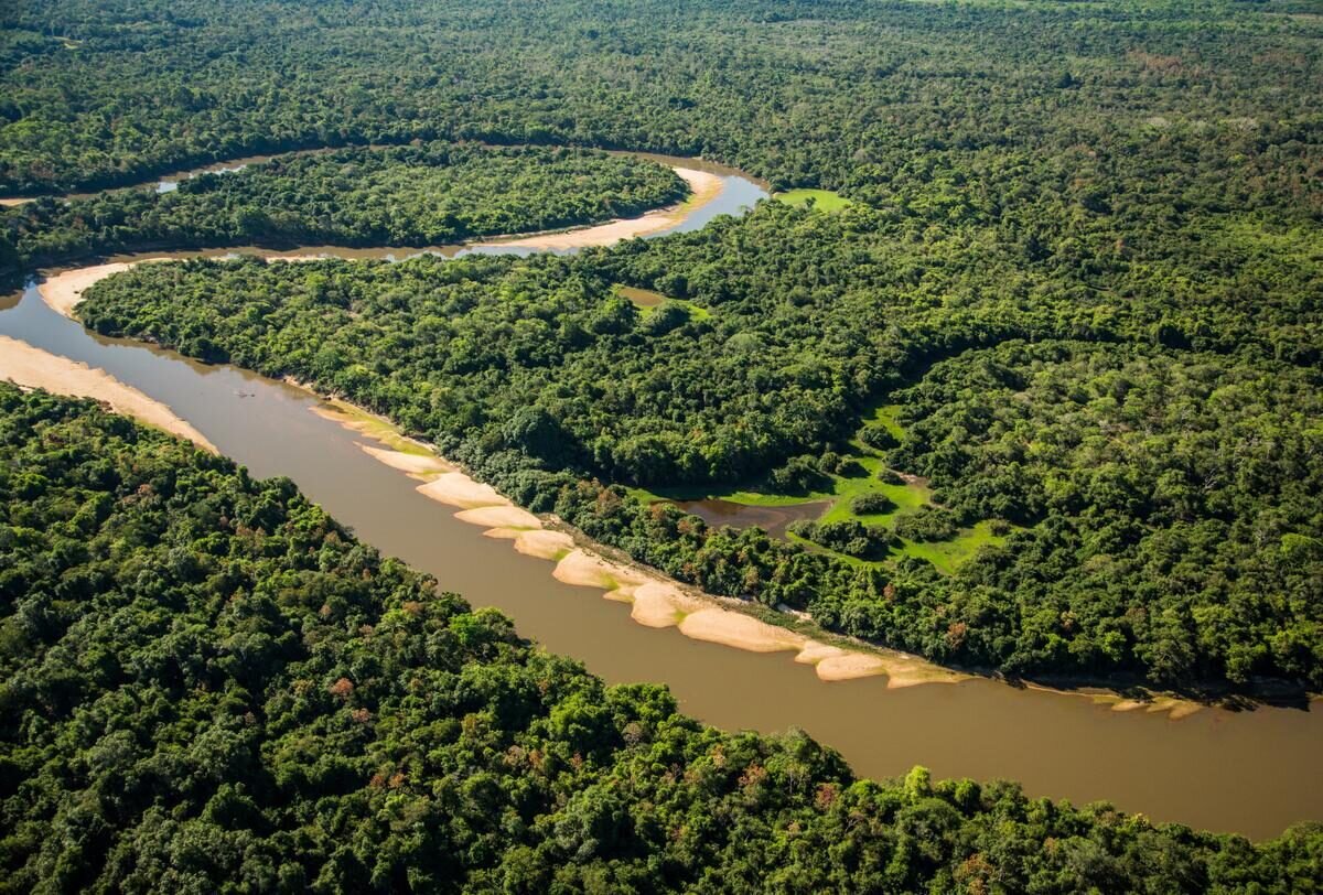 Pantanal — foto 3