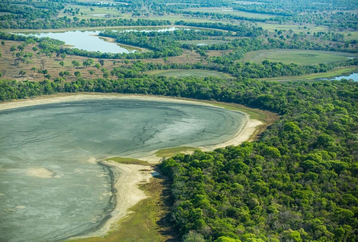 Pantanal — foto 4