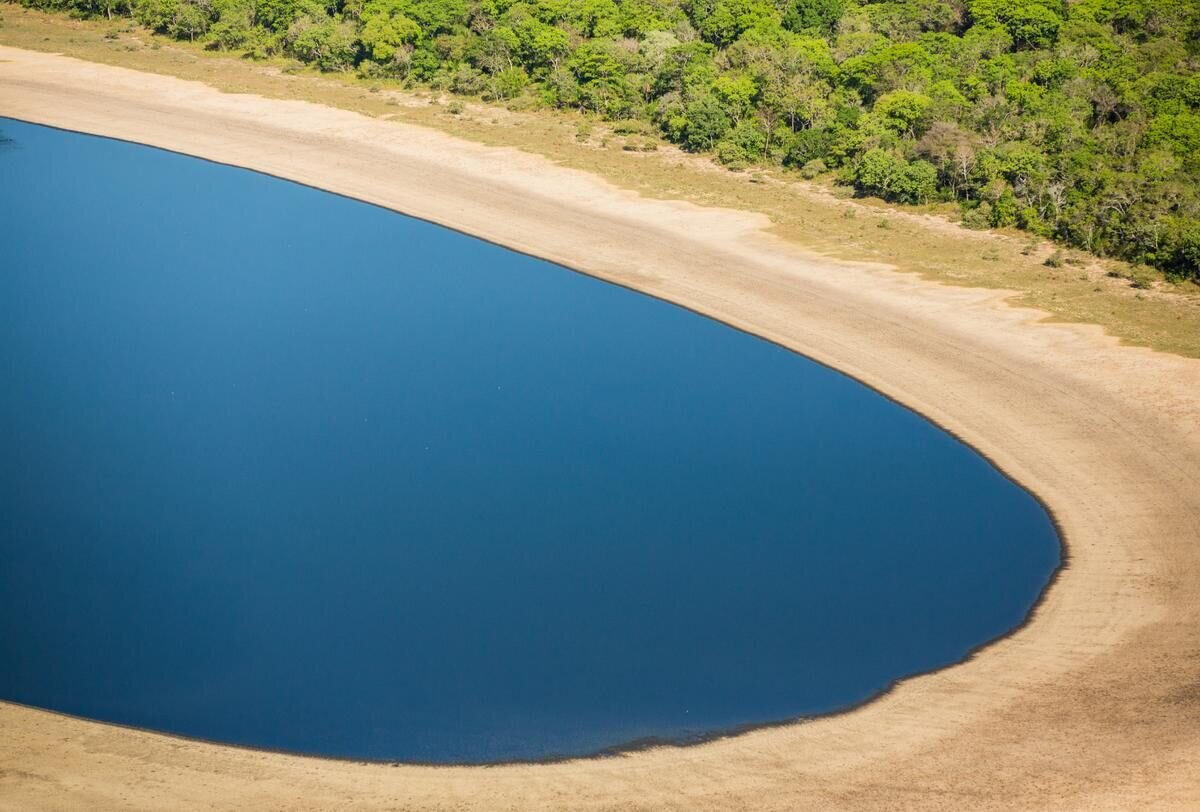 Pantanal — curiosidade 6
