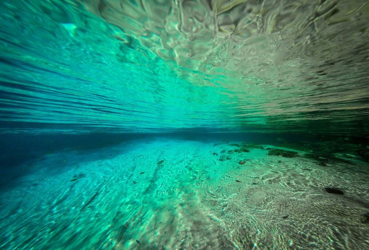 Bonito — foto 5