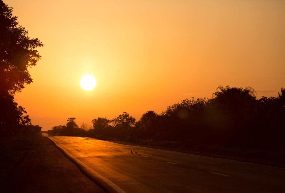 Pantanal — foto 6
