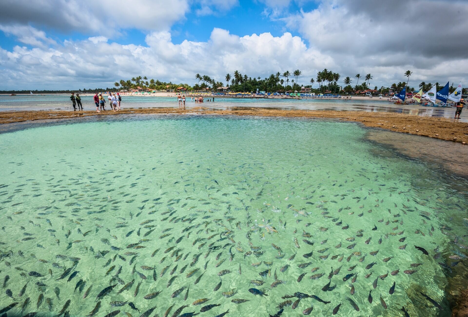 Porto de Galinhas — foto 9