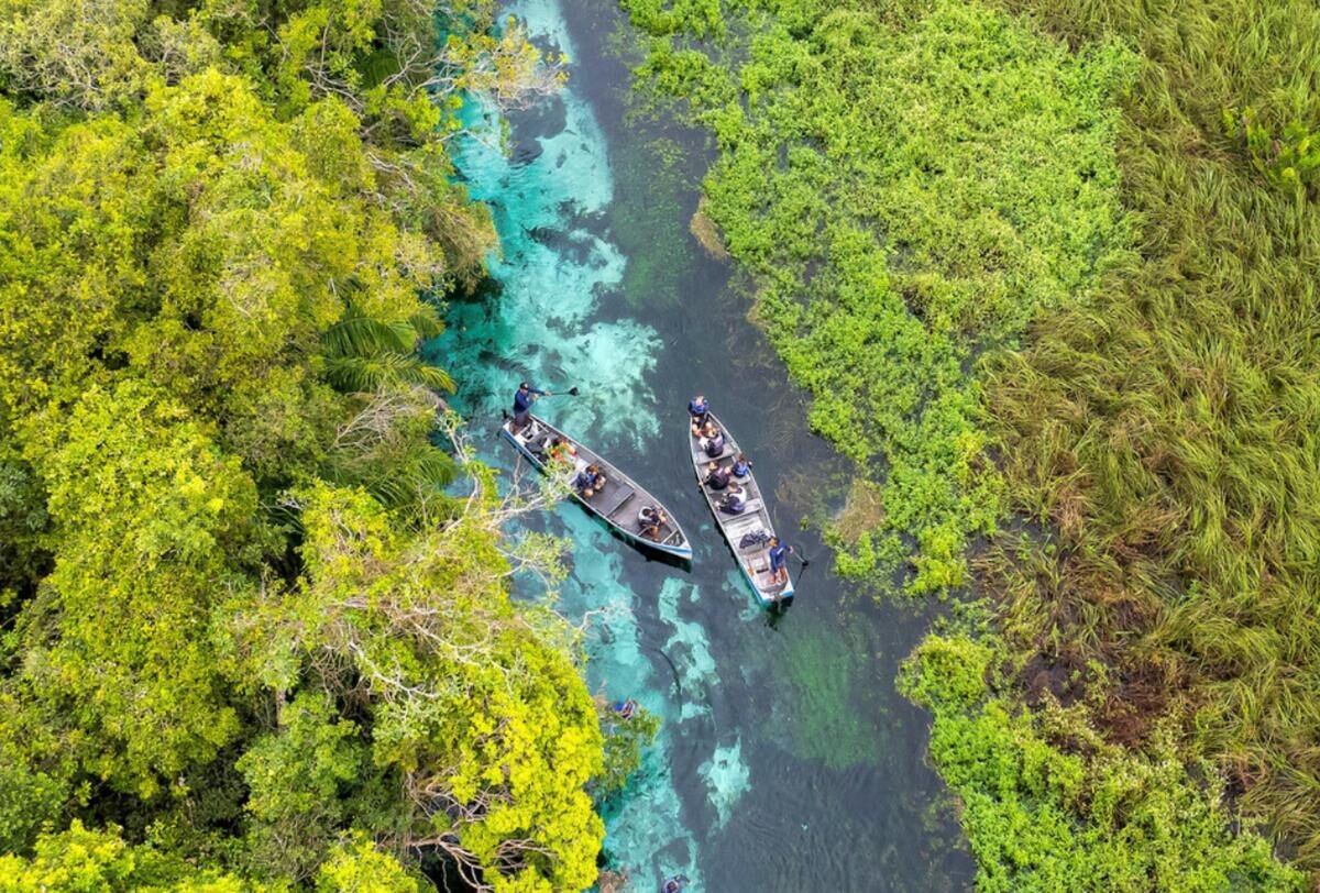 Bonito — foto 8