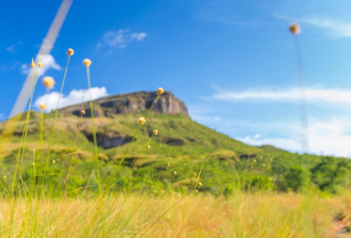 Chapada dos Veadeiros — foto 18