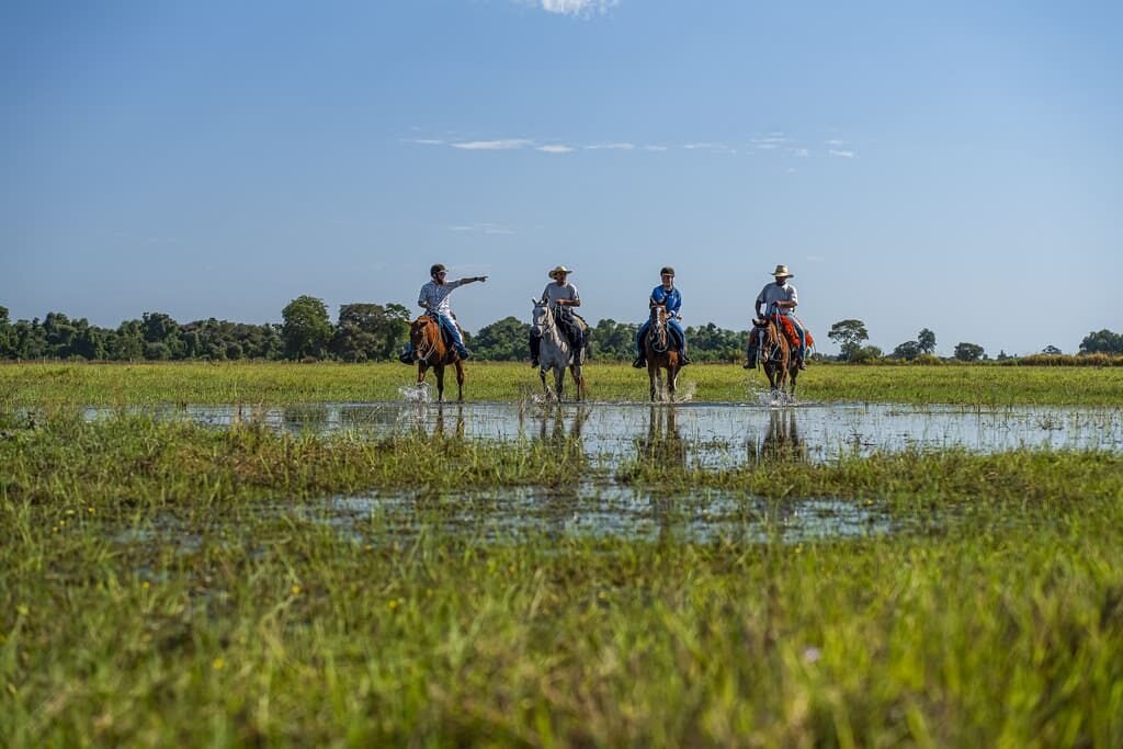 Pantanal — foto 28
