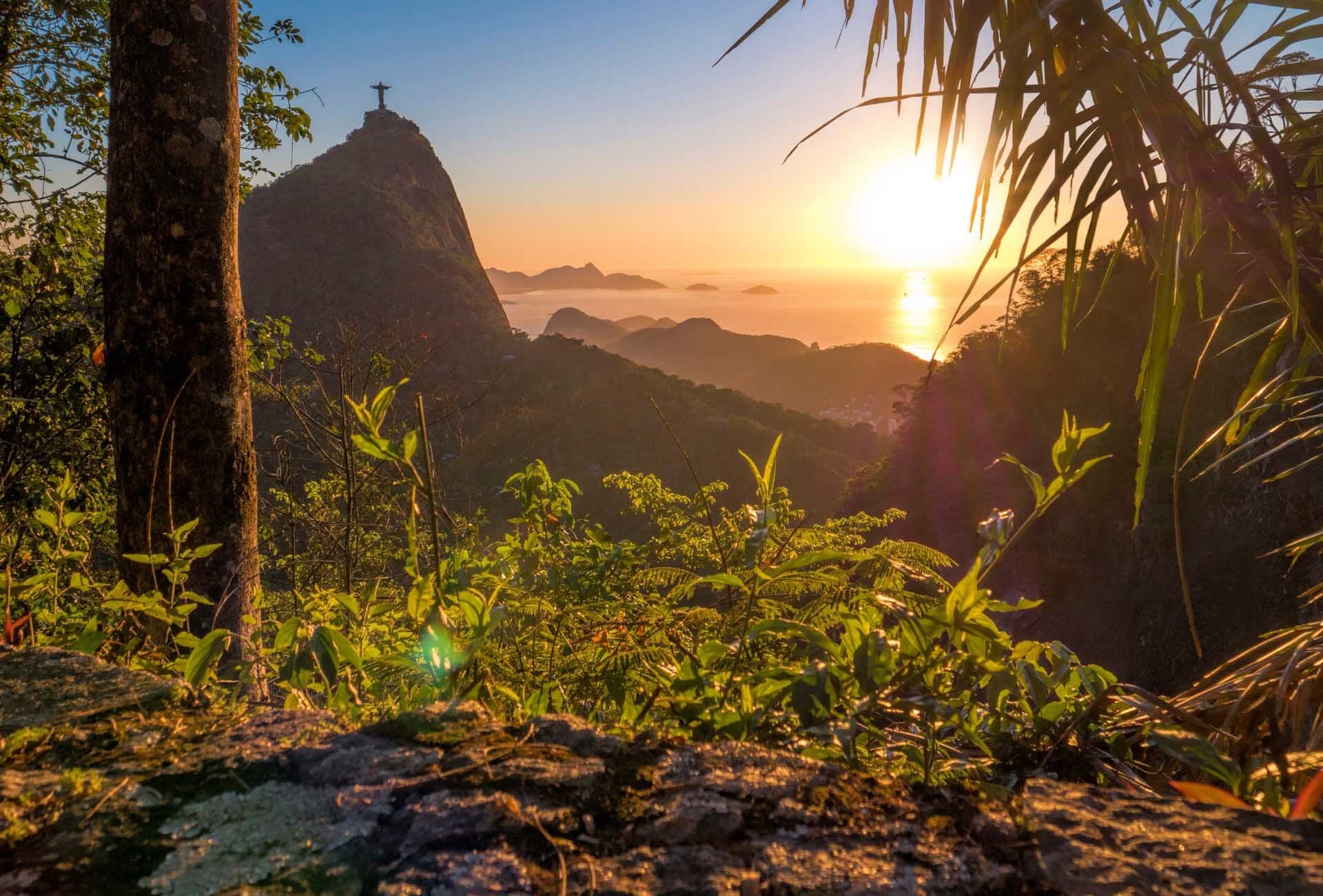 Une randonnée inoubliable dans l'une des plus grandes forêts urbaines du monde