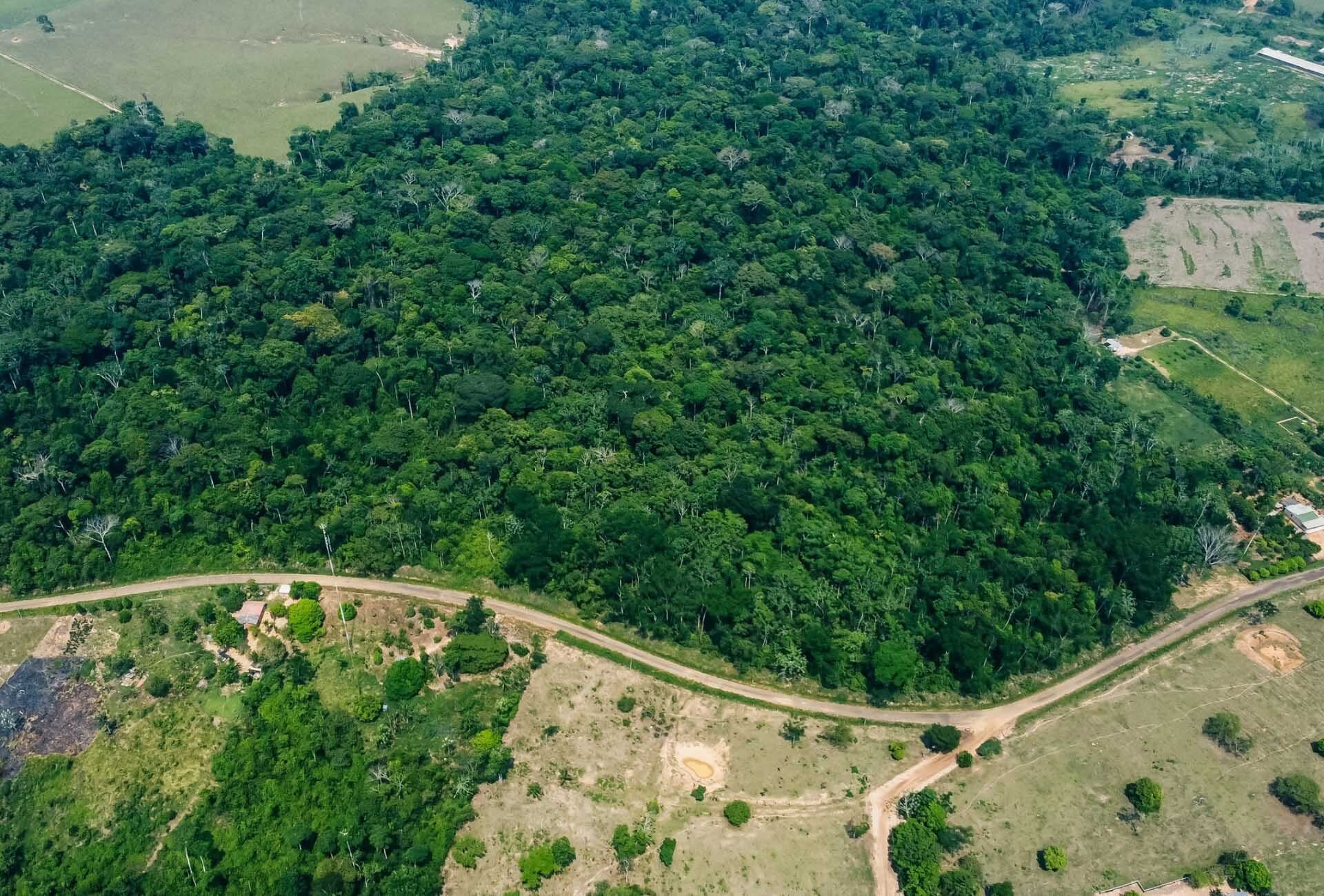 Explore the Chico Mendes Extractive Reserve near Rio Branco — 2-Day Tour