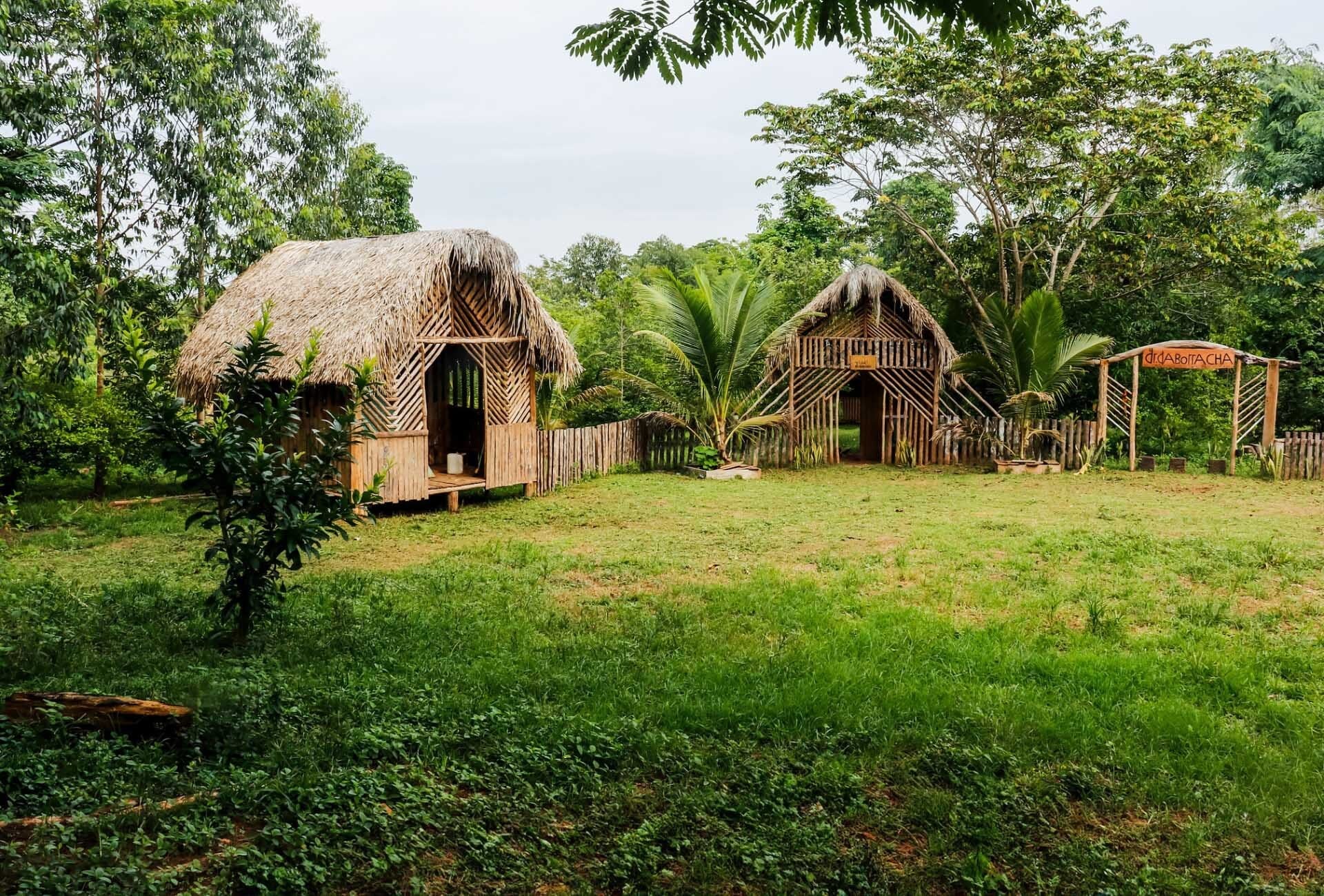 Explore the Chico Mendes Extractive Reserve near Rio Branco