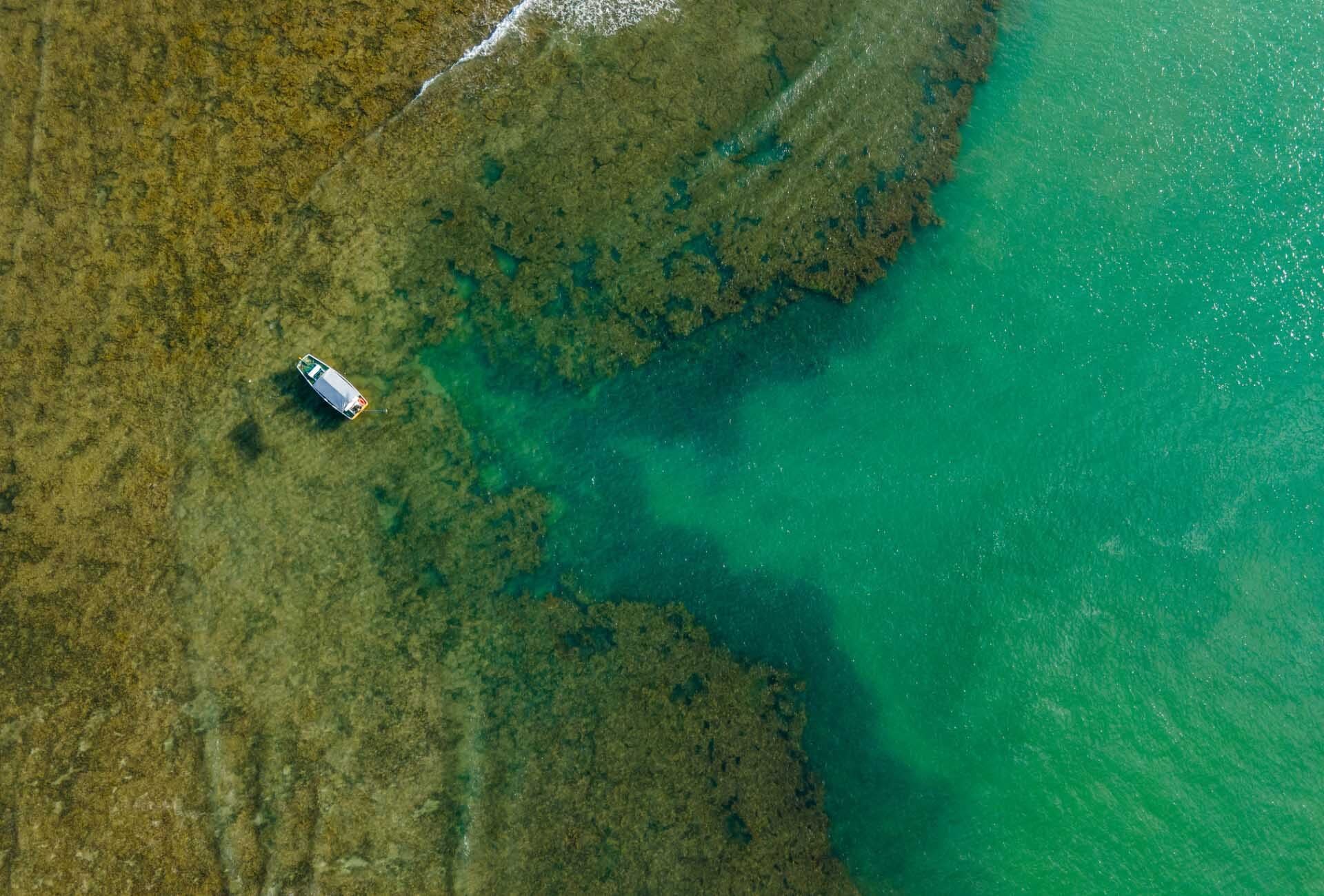 Descubra las playas de São Miguel dos Milagres desde un ángulo inolvidable