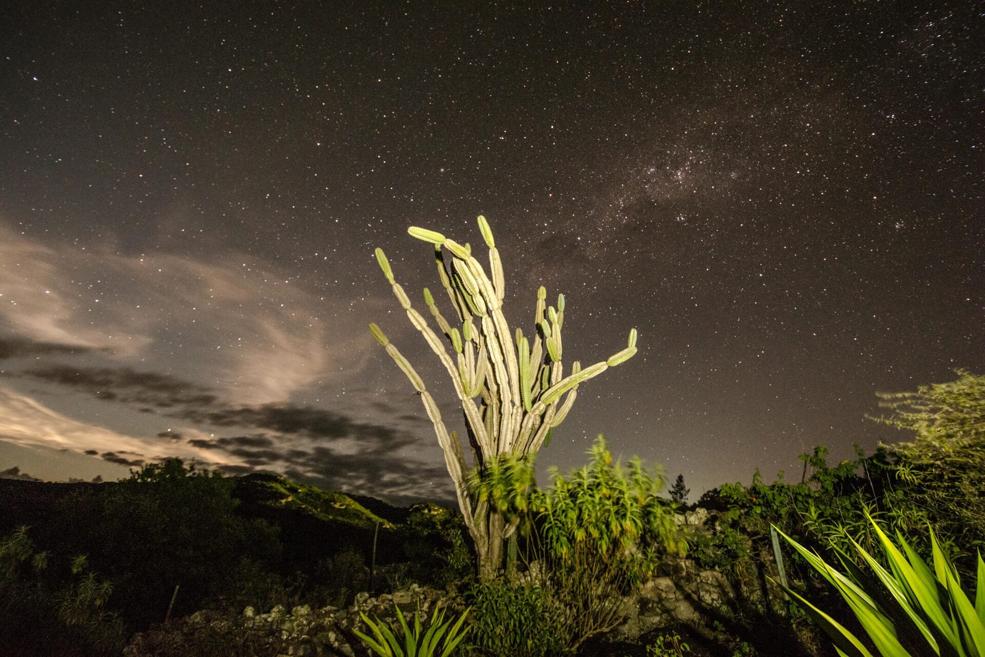 Chapada Diamantina — foto 11