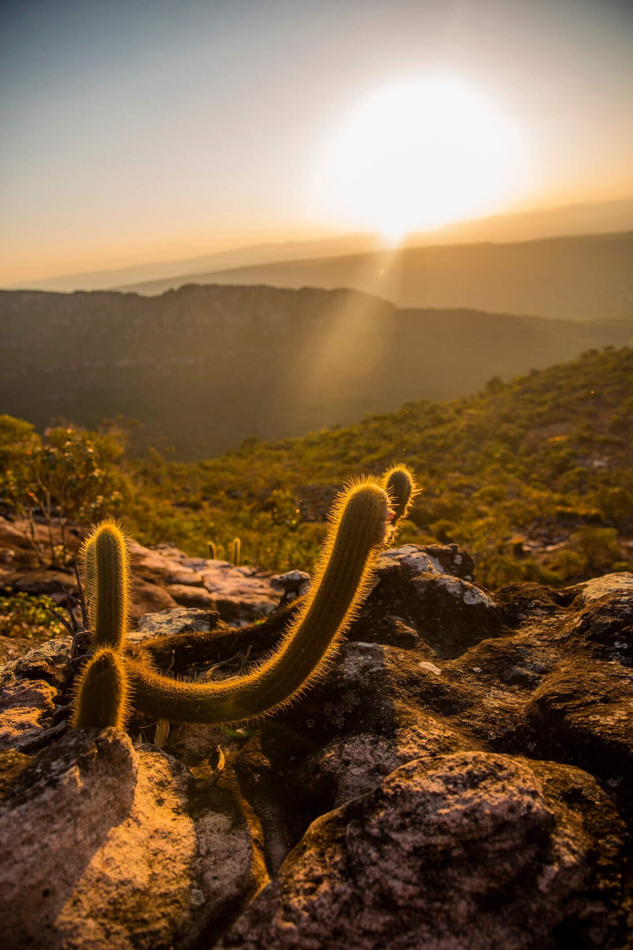 Chapada Diamantina — foto 3