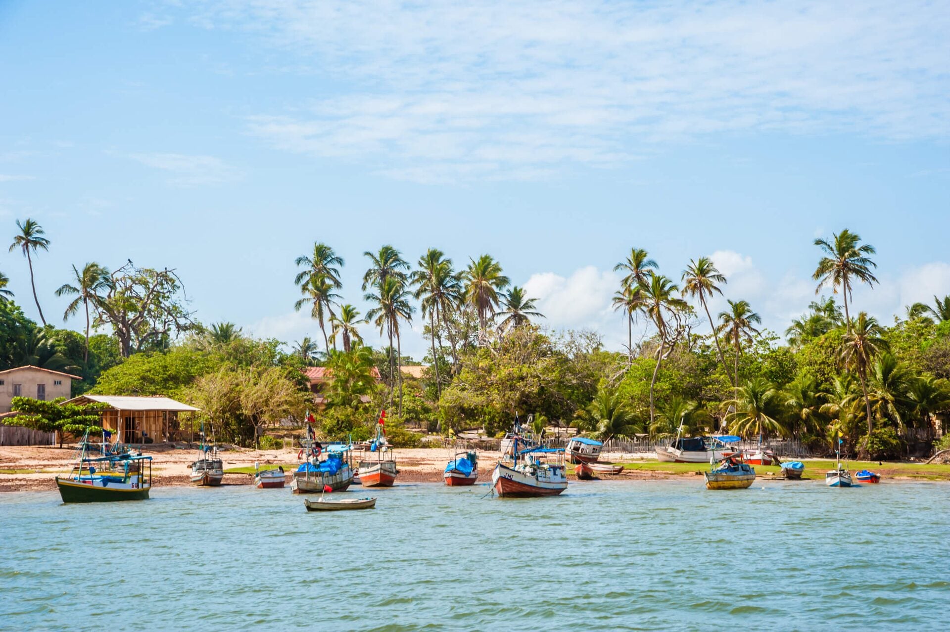 Ilha de Marajó — foto 5