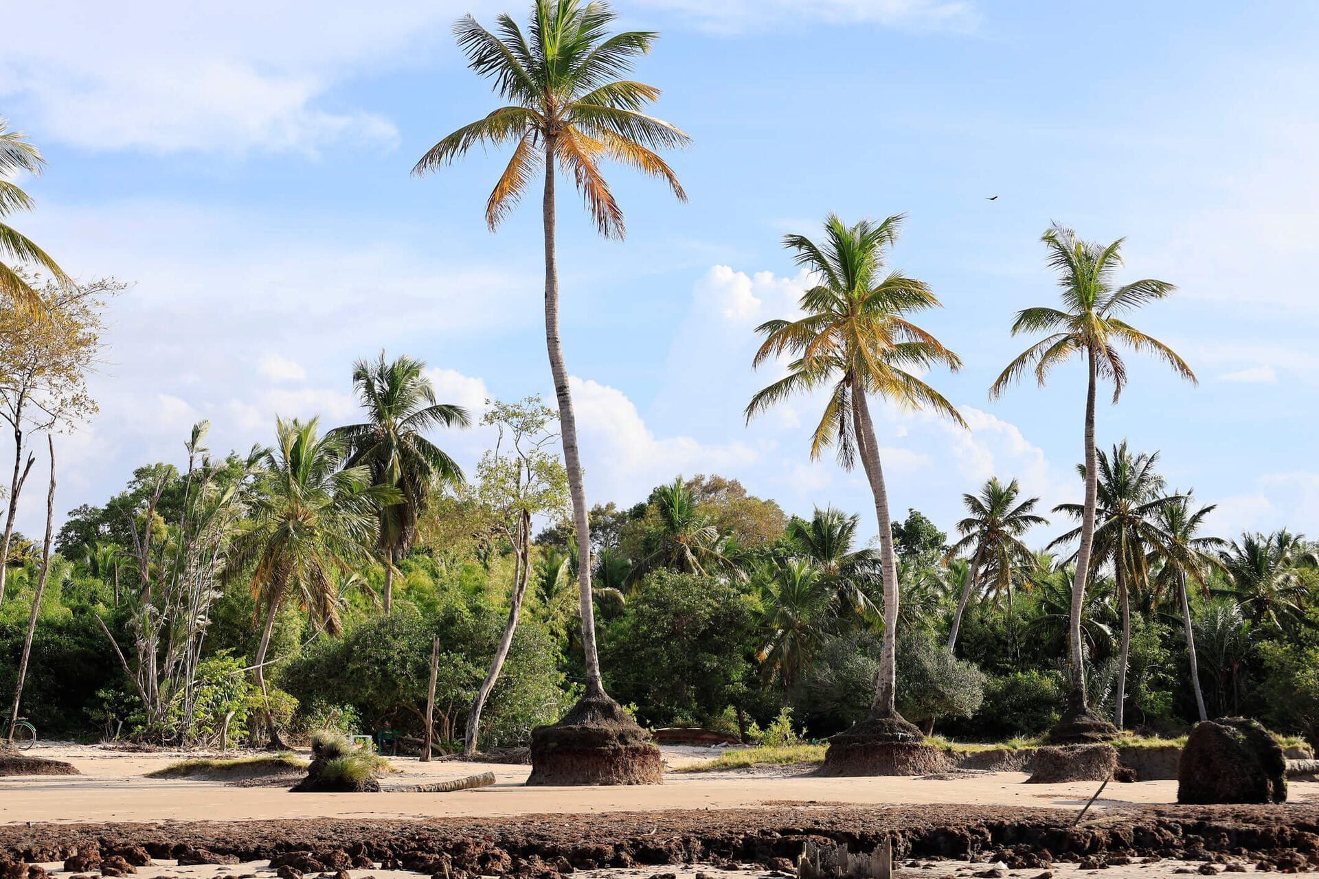Ilha de Marajó — foto 11