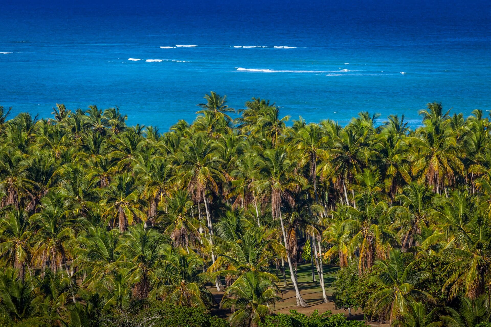 Arraial d’Ajuda — foto 16