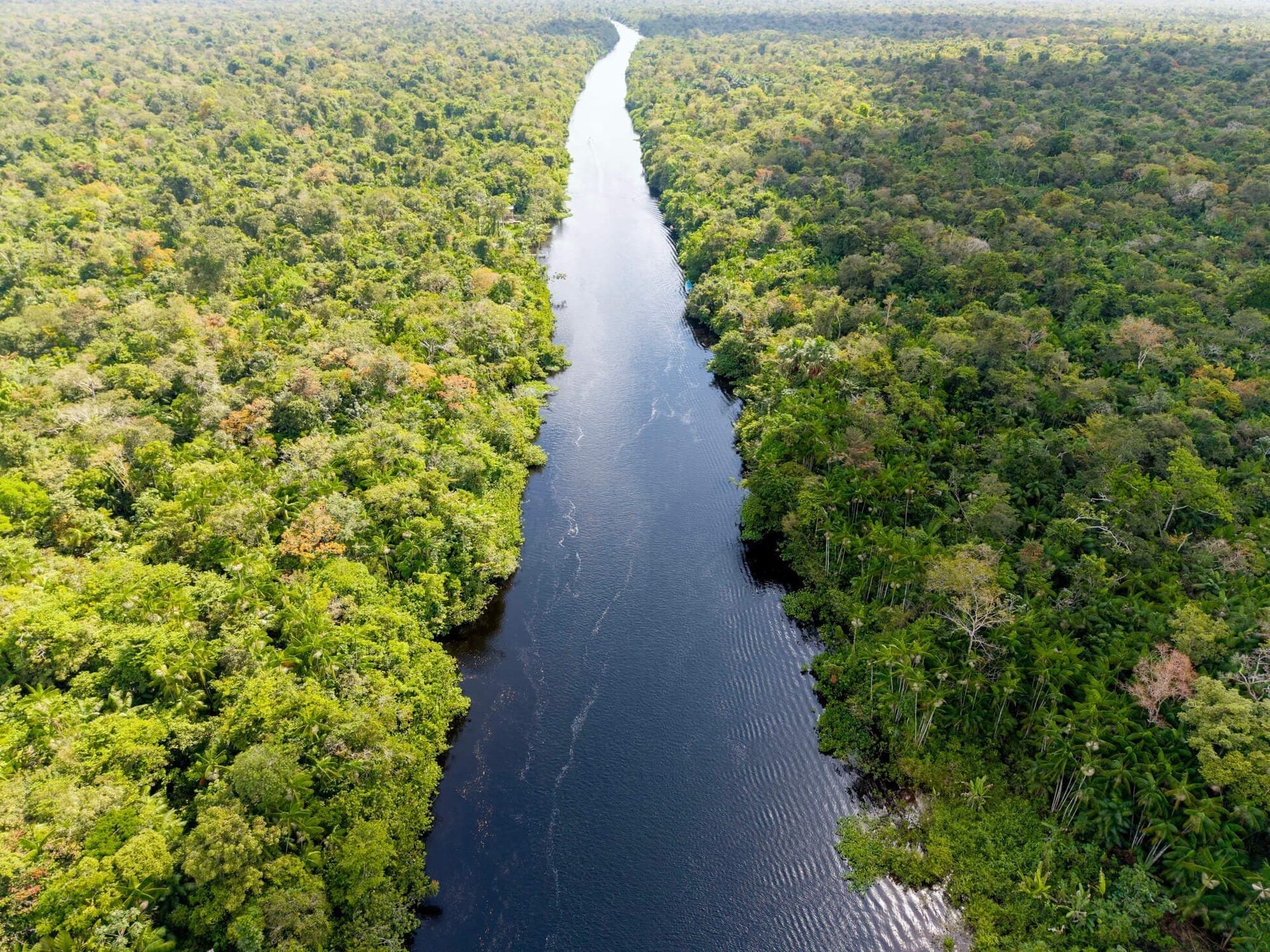 Ilha de Marajó — curiosidade 1