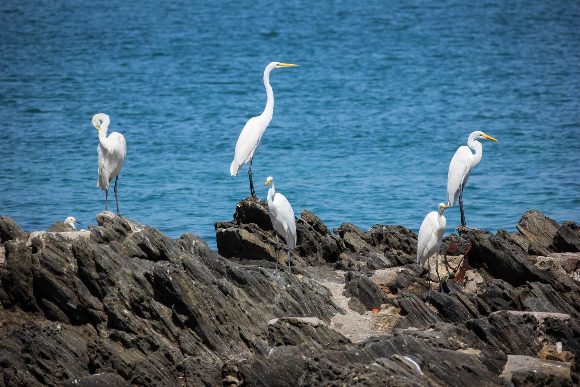 Cabo Frio — foto 1