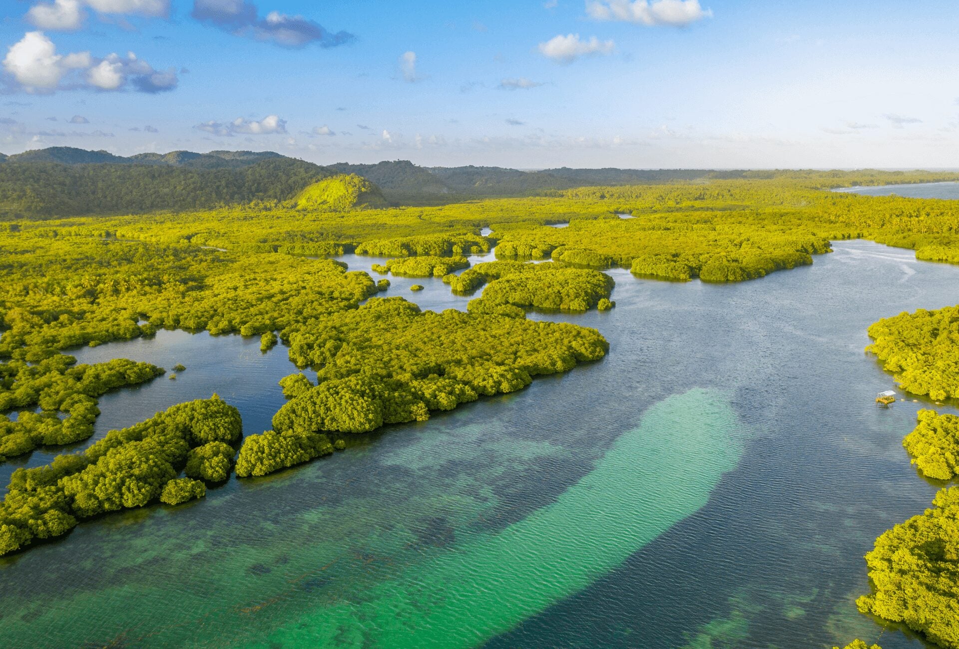 Testemunhe o famoso encontro das águas entre os rios Amazonas e Negro
