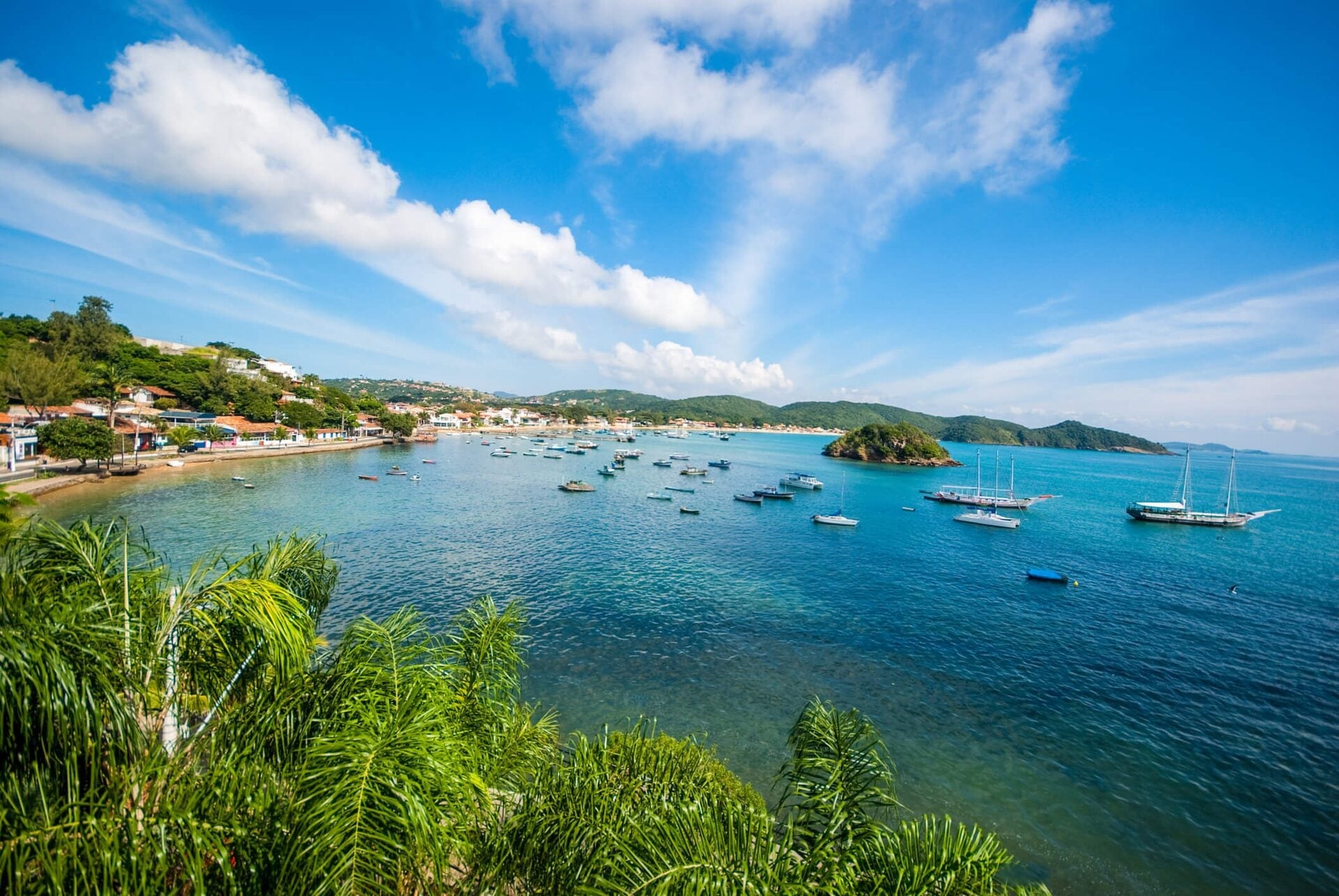 Observe tartarugas em um passeio de caiaque pelo mar de Búzios