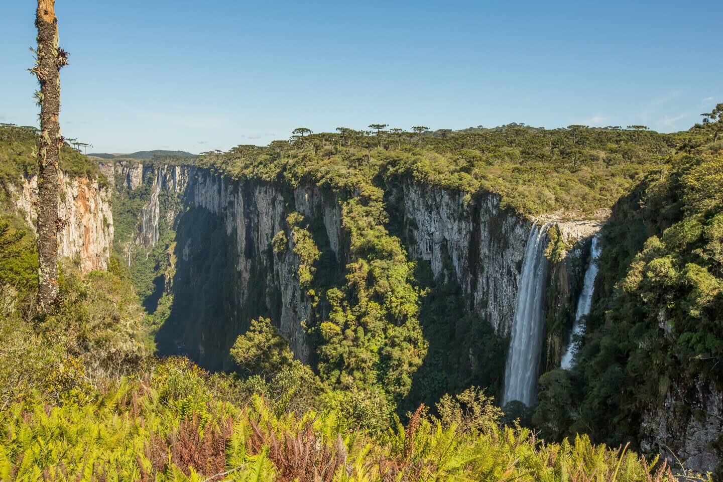 Cambará do Sul — foto 19