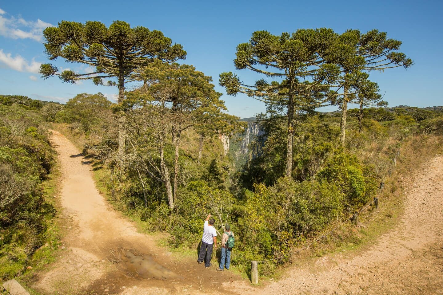Cambará do Sul — foto 20
