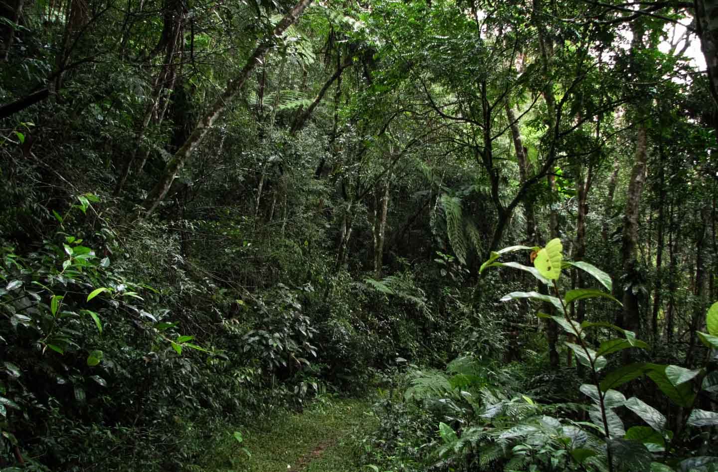 Reiserouten durch Brasilien